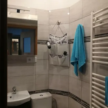 Apartament Pmc